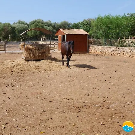 Finca Can Tort
